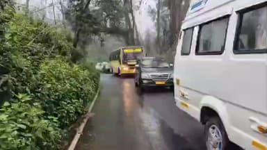 கொடைக்கானல்: கூக்கால் பிரிவு அருகே தொடர் மழையின் காரணமாக சாலை ஓரத்தில் இருந்த மரம் விழுந்து போக்குவரத்து பாதிப்பு