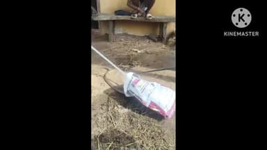 நாட்றாம்பள்ளி: பச்சூர் பகுதியில் நிலத்திலிருந்த சுமார் 6 அடி நீளமுள்ள நாகபாம்பை லாவகமாக பிடித்து வனத்துறையினரிடம் ஒப்படைத்த தீயணைப்பு துறையினர்