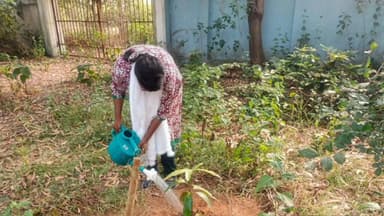 খয়রাশোল: “সবুজ পৃথিবীর স্বপ্নে বৃক্ষরোপণ কর্মসূচি” পালন খয়রাশোল গভর্মেন্ট আইটিআই কলেজে