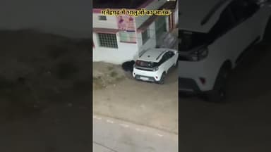 मनेंद्रगढ़ में भालुओं का आतंक #surajpurnews #latestnews