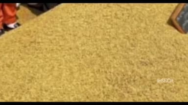 बनकटवा: बनकटवा प्रखंड के सभी पैक्स में धान की खरीद शुरू, किसानों में हर्ष का माहौल