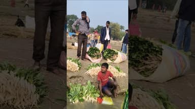 ये है गंगा दियारा की ज़िंदगी #shorts #gangariver #sonepurmela