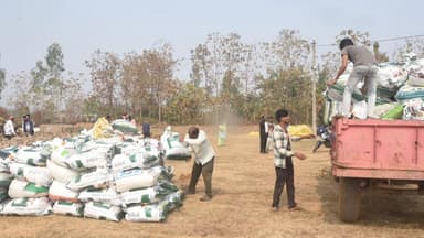 कोटा: गनियारी धान खरीदी केंद्र में अब तक 900 क्विंटल धान की खरीदी, किसानों ने इसे पारदर्शी और विश्वसनीय बताया