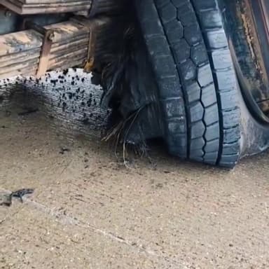 लक्ष्मणगढ़: लक्ष्मणगढ़ कस्बे में ऊंचे ब्रेकर से वाहनों को हो रहा नुकसान, राहगीरों और ग्रामीणों ने ब्रेकर पर स्लेव बनवाने की की मांग