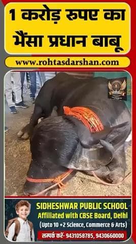 🚨 Sonepur Mela की सबसे बड़ी आकर्षण—1 करोड़ का भैंसा “प्रधान बाबू”! #SonepurMela #PradhanBabu #BiharNews #RDNnews #LocalUpdates #Breaking