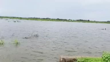 சிவகாசி: தொடர் மழை காரணமாக நிறைபாண்டியன் கோவில் கண்மாய் நிரம்பி மரு கால் பதிந்து வருகிறது