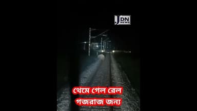 চাপড়ামারি জঙ্গলে থেমে গেল রেল #jalpaiguri #news
