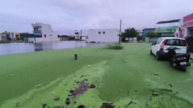 தூத்துக்குடி: திருநெல்வேலி: ஆதிபராசக்தி நகர் பகுதியில் குடியிருப்புகளை சூழ்ந்த மழை நீரால் மக்கள் வெளியே வர முடியாமல் இயல்பு வாழ்க்கை பாதிப்பு