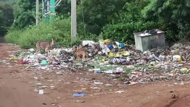 திருவண்ணாமலை: உணவுக்காக காடு பகுதியில் இருந்து நகரில் உள்ள குப்பைமேடுகளை நோக்கி வரும் புள்ளி மான்கள்