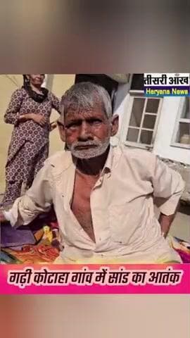 पंचकुला जिले के गाँव गढ़ी कोटाहा में सांड का आंतक#पंचकुला