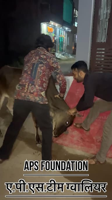 इसके पेर में बहुत ज्यादा सुजान है..!
Respect Girls help poor help animals
#apsgurjar #viral #support