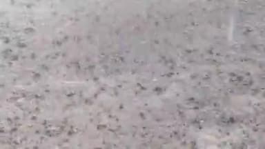 கடலூர்: கடலூர் மாவட்டத்தில் 590.6 மில்லிமீட்டர் மழை பதிவு