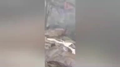 கொல்லிமலை: ஆகாய கங்கை நீர்வீழ்ச்சியில் குளிக்க தடை விதித்து மாவட்ட வனத்துறை அதிரடி உத்தரவு பிறப்பித்துள்ளது