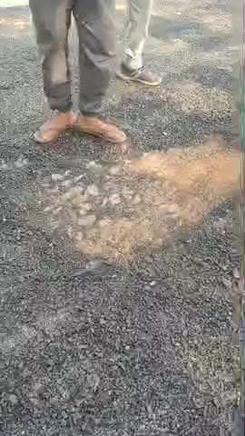 जाटव बस्ती शेखपुर (बयाना) से गोबरा सड़क का कार्य किया जा रहा है जिसकी गुणवत्ता आपके सामने है।