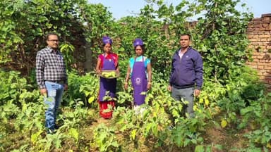 टाटीझरिया: उत्क्रमित मध्य विद्यालय परतंगा बना नजीर, शिक्षक और छात्रों ने किचन गार्डन विकसित कर बदली तस्वीर