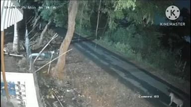 ஈரோடு: சிறுத்தை நடமாட்டம் பட்டரமங்கலம் மக்கள் அச்சம்