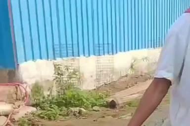 ठीकरी: ब्राह्मणगांव में नर्मदा परिक्रमा मार्ग की हालत खस्ता, परिक्रमावासियों ने दुरुस्त करने की मांग उठाई