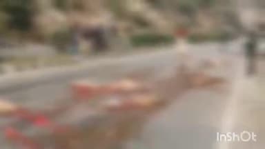 गोगुन्दा: घसियार के लंबे ढलान में तेज रफ्तार ट्रेलर ने रास्ते से जा रही भेड़ों को कुचला, दर्दनाक हादसे में 30 भेड़ों की हुई मौत