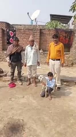 भूपालसागर: गांव सांवता में गुरुजी ने बच्चे के आंसुओं को मुस्कान में बदला, खोई ‘किट्टू’ की जगह नई बकरी खरीदकर किया मानवीय चमत्कार