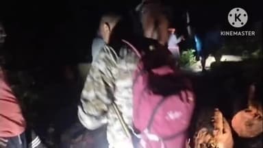 पोड़ी उपरोड़ा: बंजारी के जंगल में पेड़ कट रहे हैं, वन अमले ने नहीं देखा, पहले नीलगिरी, अब साजा व धौरा कटे मिले