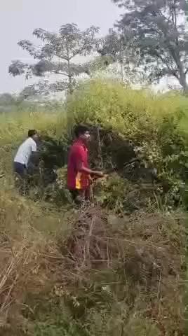 झींकपानी: झींकपानी-टोंटो थाना क्षेत्र में दुर्घटनाओं की रोकथाम के लिए टोंटो पुलिस ने की झाड़ियों की कटाई