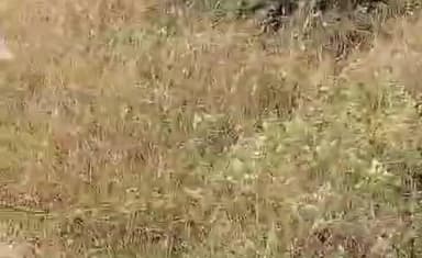 ಶಿರಸಿ: ನಿಲೇಕಣಿ ಭೀಮನ ಗುಡ್ಡದ ಹತ್ತಿರ ಪಡ್ಡೆ ಹುಡುಗರಿಂದ ಮೋಜು ಮಸ್ತಿ, ಪರಿಸರಕ್ಕೆ ಹಾನಿ