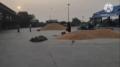 खानपुर: खानपुर कस्बे में स्थित कृषि उपज मंडी में 450 किवंटल सोयाबीन की हुई बंपर आवक, 4649 रुपये प्रति किवंटल रहा भाव