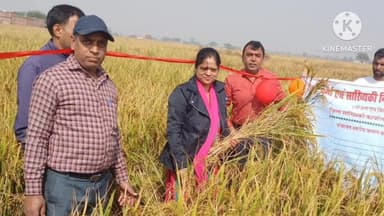 अकोढ़ी गोला: तेंदुआकला में किसान के खेत में धान की फसल की क्रॉप कटिंग संपन्न