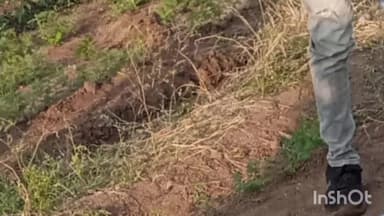 બગસરા: હામાપુર ગામે બાળક પર વન પ્રાણી નો હુમલો થાતા થયુ મોત