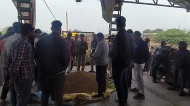 मोहन बड़ोदिया: मोहन बड़ोदिया कृषि उपज मंडी में मंगलवार को मसूर अधिकतम ₹6600 तक बिका