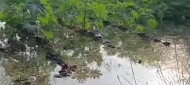 રાધનપુર: બાદરપુરા-કમાલપુર નજીક પાઇપલાઇનમાં ભંગાણ થતા ખેતરોમાં પાણી ફરી વળ્યું