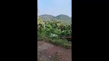 വെള്ളരിക്കുണ്ട്: പരപ്പയിൽ മരം കയറ്റി വന്ന ലോറി താഴ്ചയിലേക്ക് മറിഞ്ഞ് രണ്ടുപേർക്ക് പരിക്കേറ്റു