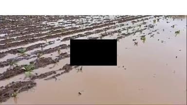 ડભોઇ: ડભોઇ તાલુકામાં કૃષિ રાહત પેકેજ માટેની અરજીઓની પ્રક્રિયા હાલ અત્યંત ઝડપથી ચાલી રહી છે. અત્યાર સુધી તાલુકાના 120 ગામોમાંથી