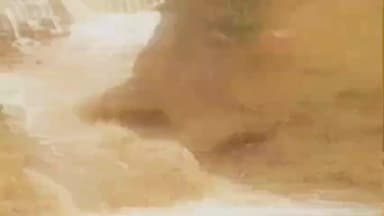 తెగిన కానుగులగుంట చెరువు గట్టు.