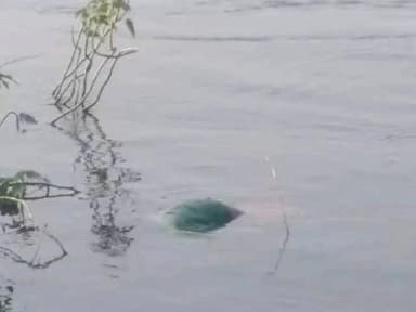 కంభంపాడు NSP కాలువలో మృతదేహం లభ్యం