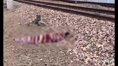 वारिसलीगंज: सोनबरसा हॉट के समीप गंभीरपुर गांव में ट्रेन से कटकर एक अज्ञात महिला की हुई मौत, पहचान कराने में जुटी पुलिस