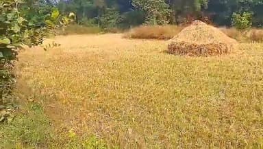 खैरलांजी: दैतबर्रा में श्मशान भूमि पर अतिक्रमण, ग्रामीणों की बढ़ी परेशानी, प्रशासन से जल्द कदम उठाने की मांग