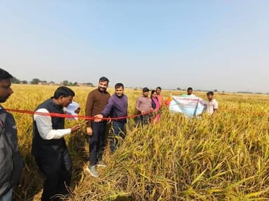 *अर्थ एवं सांख्यिकी निदेशालय, बिहार, पटना के उप निदेशक (श्रीमति रश्मि) ने करायी क्रॉप कटिंग*
*जिला में इस वर्ष धान की प...