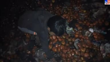 टमाटर से भरा ट्रक पलटा, लूटने की मची होड़ #trendingvideo #Muzaffarpur #patna #Bihar #BiharNews #tv20bihar
टमाटर से भरा ट...