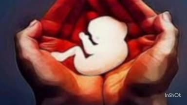 गर्भपात और दुर्व्यवहार को कोर्ट ने माना क्रूरता, पति की अपील मंजूर, छत्तीसगढ़ हाई कोर्ट ने फैमिली कोर्ट का फैसला पलटा