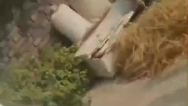 कप्तानगंज: बांसगांव पुलिस की कार्रवाई का विवादित वीडियो वायरल, पीड़ित ने एसपी से निष्पक्ष जांच की मांग की