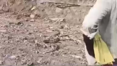 मोदनगंज: बिहटा महादलित टोला में घुसा सांप, वन विभाग ने किया रेस्क्यू