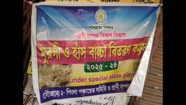 পিংলা: জলচক ২ গ্রাম পঞ্চায়েতের ৫০ জন বেনিফিসারিকে মুরগি বাচ্চা দেওয়া হোলো মঙ্গলবার