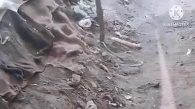 हर्रई: हरई के साप्ताहिक बाजार में अव्यवस्था, व्यापारियों को जगह नहीं, राहगीर परेशान, अतिक्रमण फैला