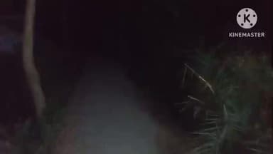 নামখানা: টোটো গাড়ি ও বাইকের মুখোমুখি সংঘর্ষ আহত টোটো চালক নামখানা এলাকার ঘটনা