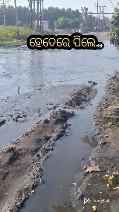 ହେଦେରେ ପିଲେ
ପର୍ଯ୍ଯଟନ ବିକାଶରେ ବାଧକ
#hedereplie #gunamanibiswal