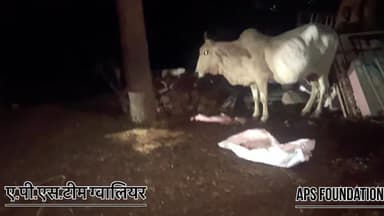 इसका 6 महीने का बच्चा ख़त्म हो गया और घर वालो ने बाहर निकाल दिया..!
Respect girls help poor help animals
#apsgurjar #support