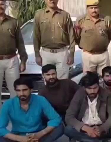 नांगल चौधरी: नांगल चौधरी से सटे बहरोड़ में पुलिस ने लादेन गैंग के 12 अपराधियों को किया गिरफ्तार