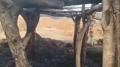 टंडवा: सराढू के टैरा टोला गांव में मचान में लगी आग, मचान में बंधे एक मवेशी की जलकर मौत