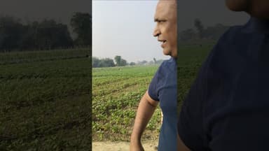 सारण के सोनपुर दियारा में बींस की खेती का खूबसूरत नजारा देखिए #shorts #beans #hasanjawed #sonepur